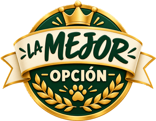 La mejor opción