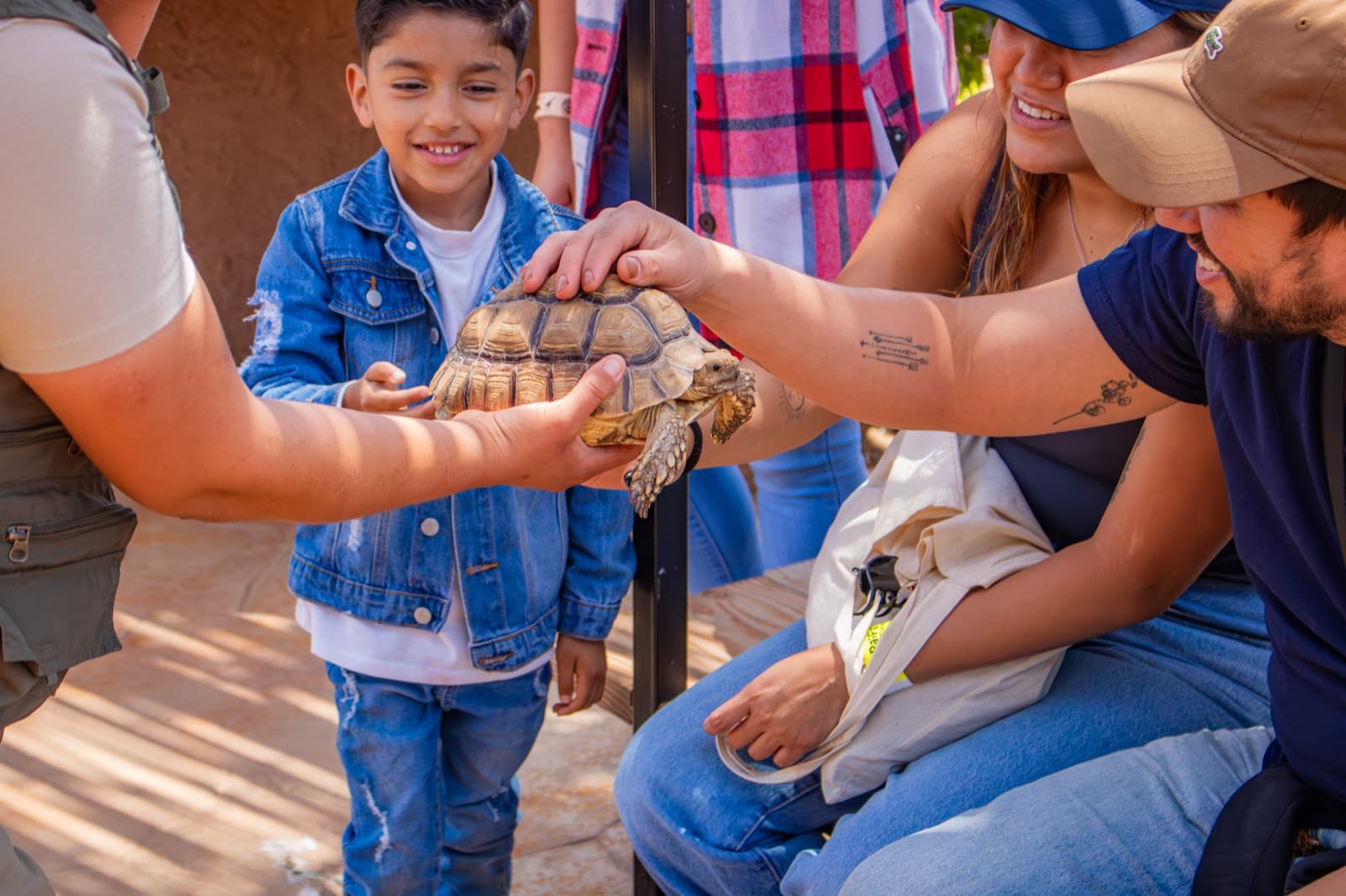 Niña conociendo de cerca a una tortuga durante una visita educativa a PAIPAI